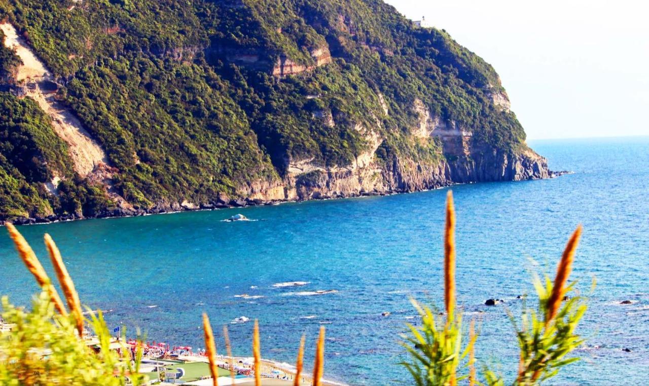 Appartamenti Baia Di Citara Forio di Ischia Zewnętrze zdjęcie